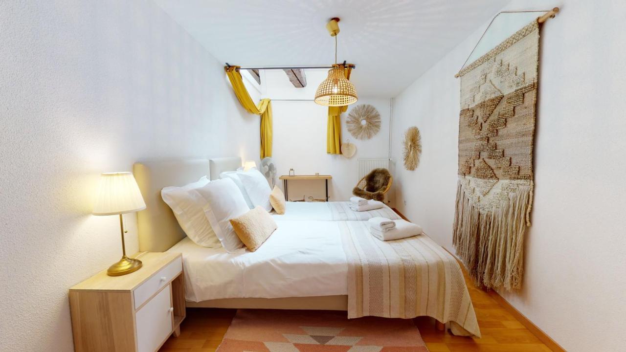 Apartmán Duplex Des Dominicains - 1 Parking Gratuit - Hypercentre 6 Personnes Colmar Exteriér fotografie